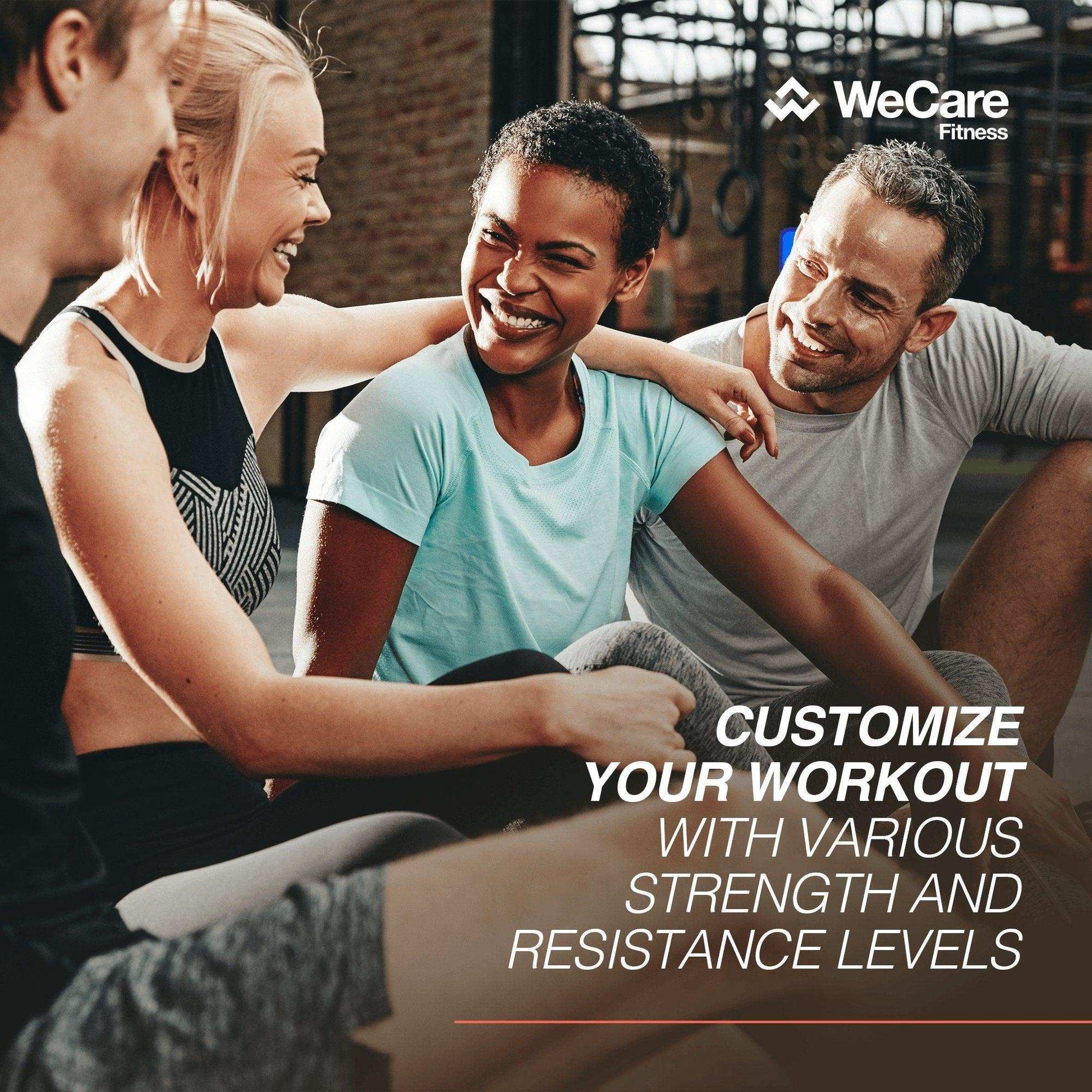 WeCare Fitness AB Wheel - Shop Home Med
