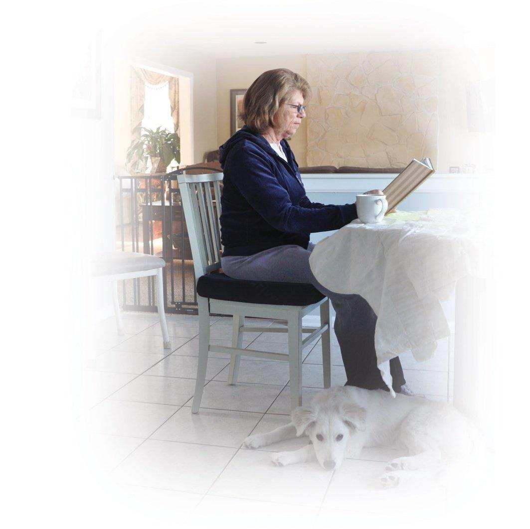 Molded General Use 1 3/4" Wheelchair Seat Cushion - Shop Home Med