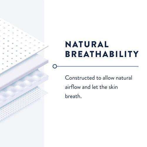 Prevail Pant Liner - Shop Home Med